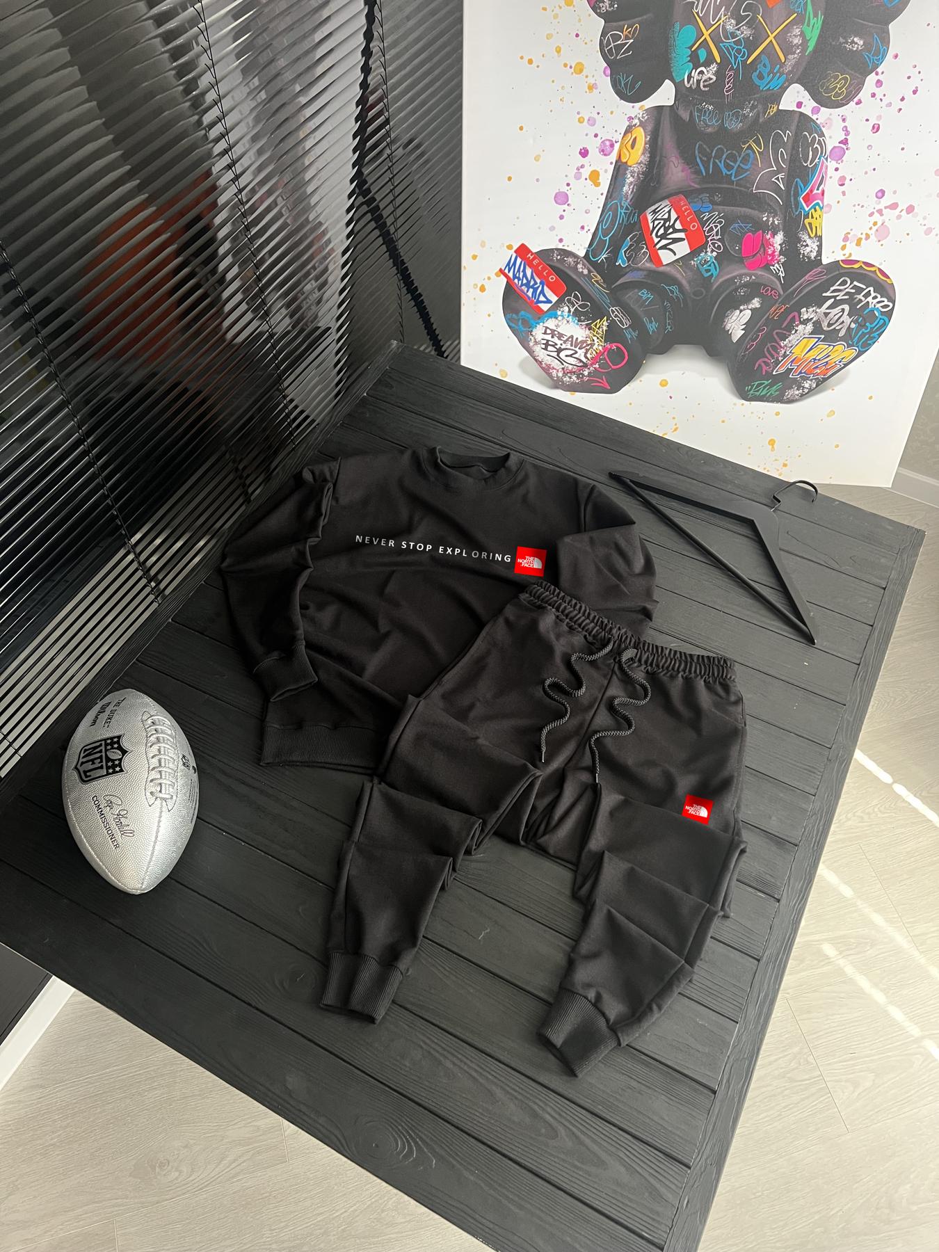 Комплект світшот+штани The North Face трикотажний демісезонний трендовий для зустрічей з друзями костюм
