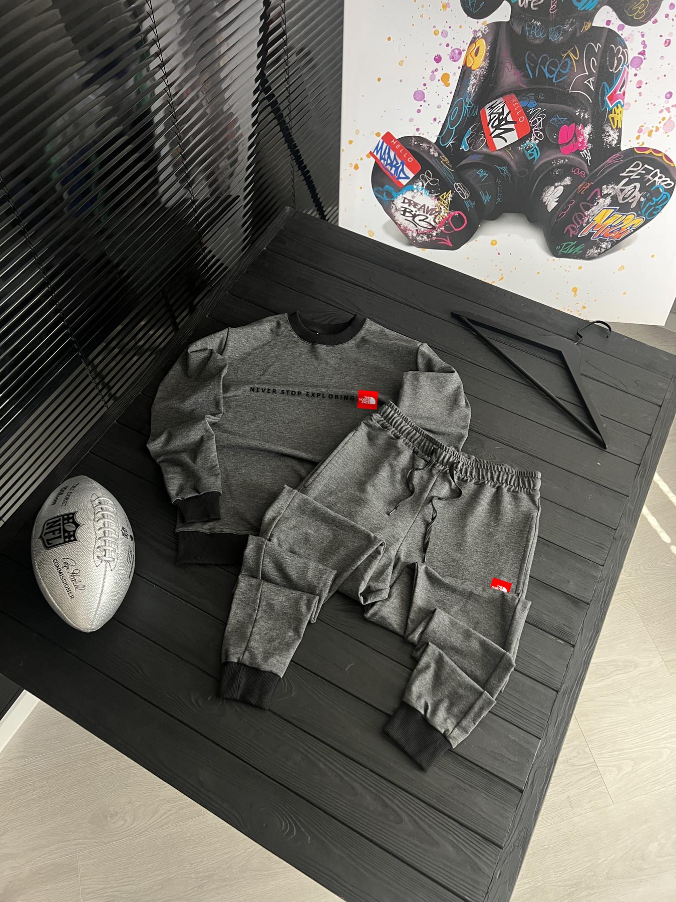 Комплект свитшот+штаны The North Face трикотажный демисезонный качественный и повседневный на прогулку костюм