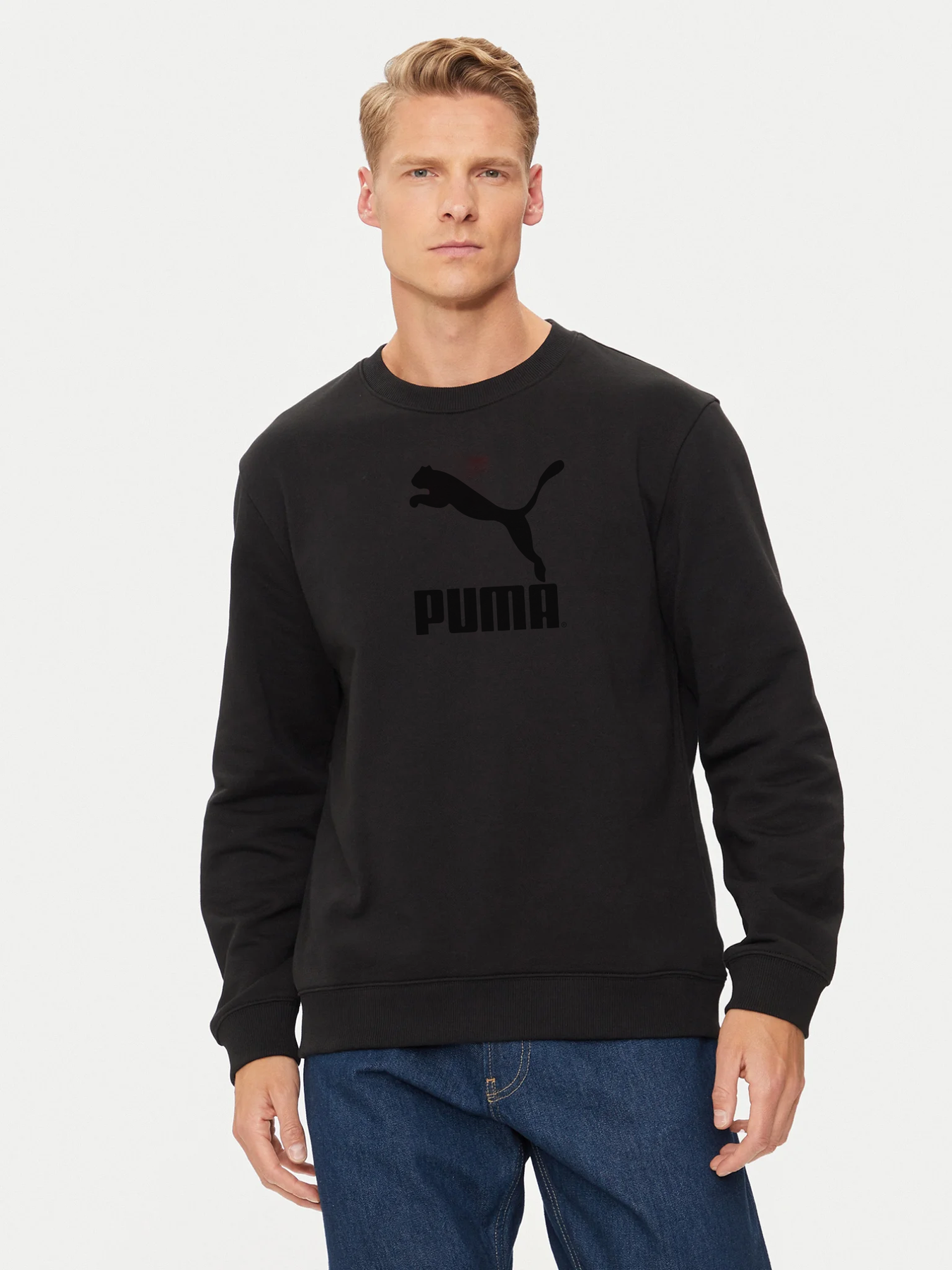 Чоловічі світшоти Puma