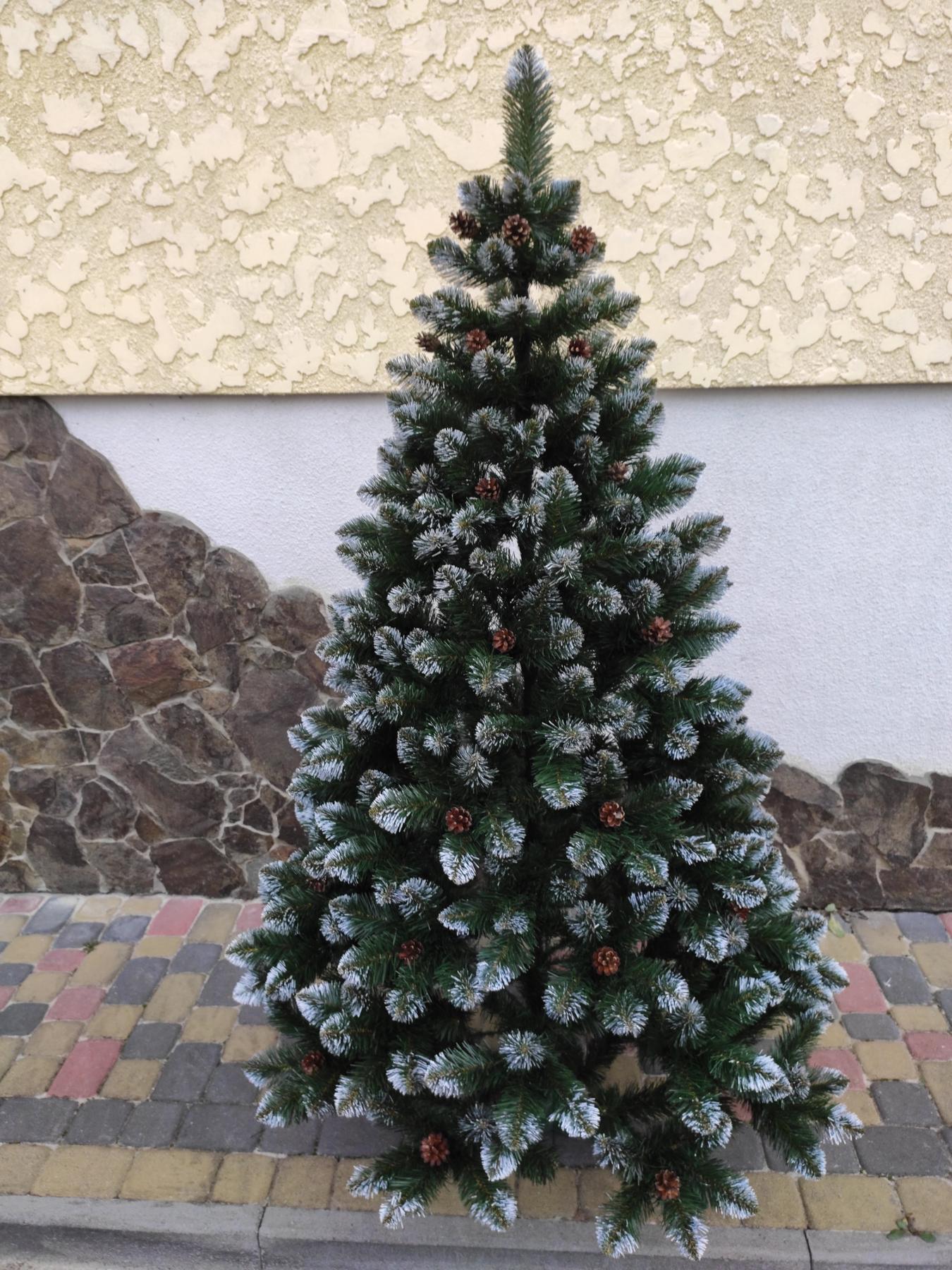 Королева з шишками 3 м