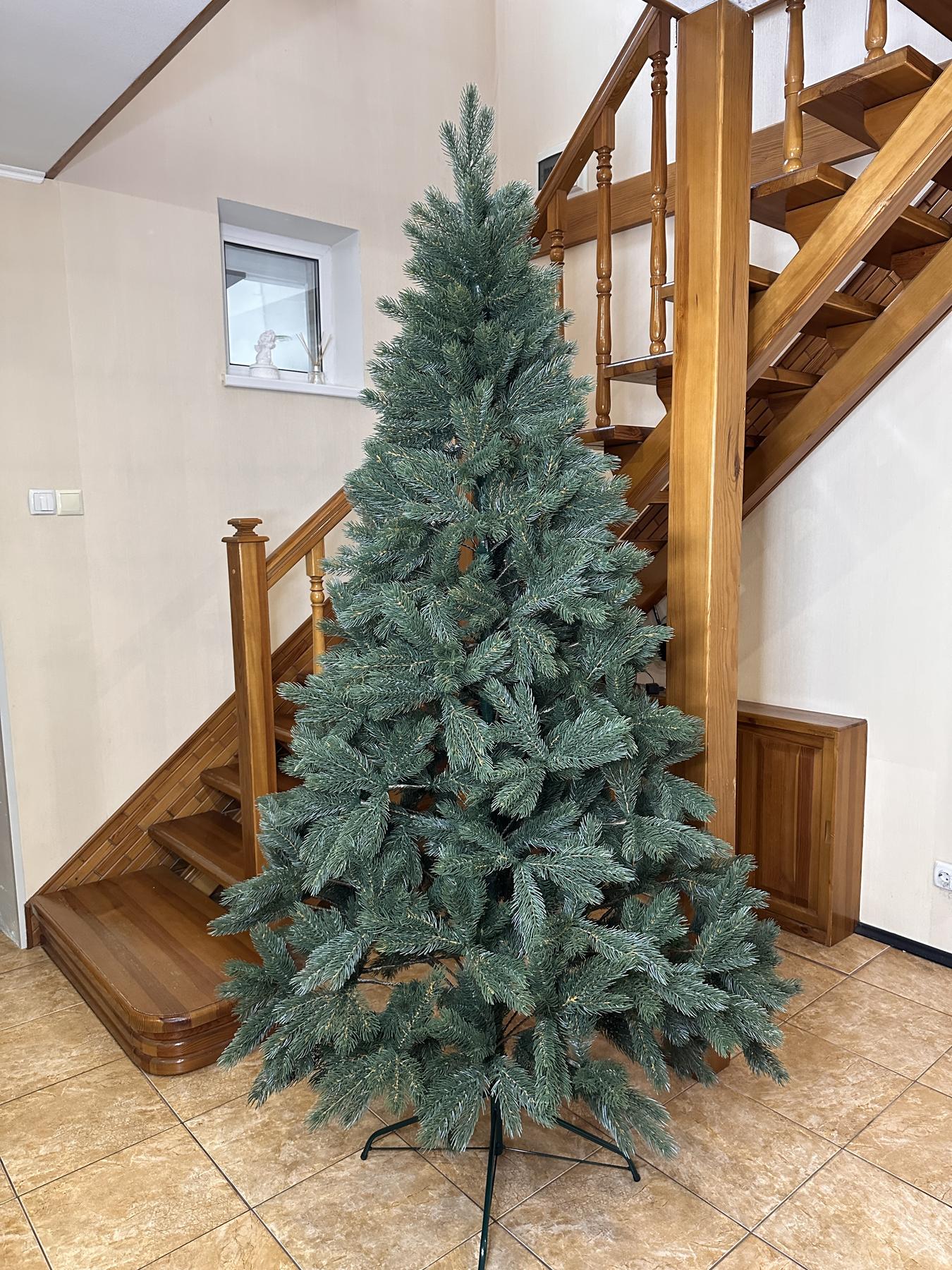 Кедр 2.1 м